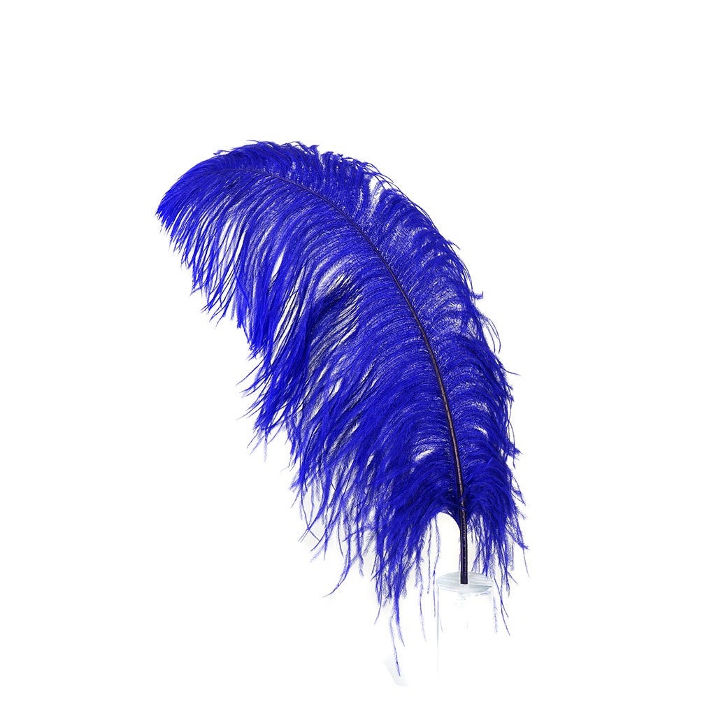 Large Ostrich Feathers - 20-25’’ Prime Femina Plumes - Regal - Ostrich Feathers