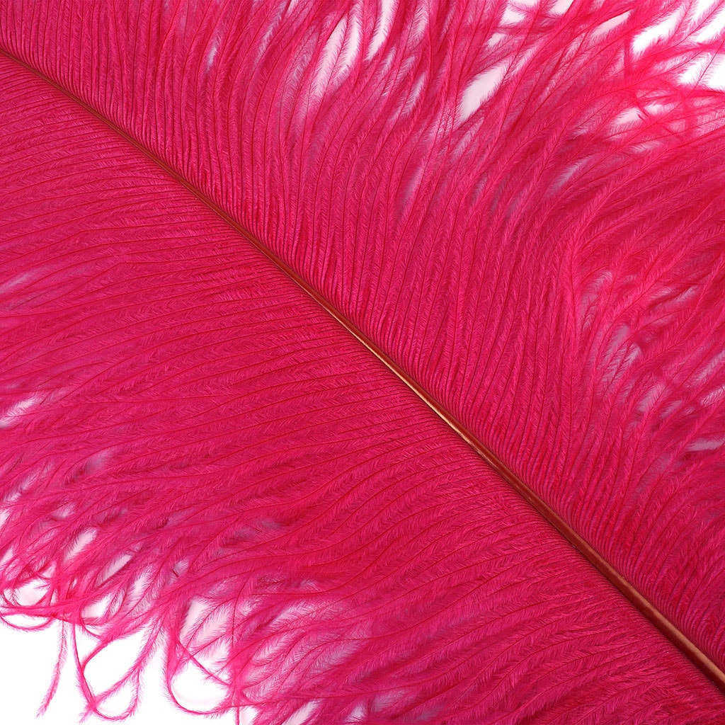 Large Ostrich Feathers - 20-25’’ Prime Femina Plumes - Shocking Pink - 6 pieces - Ostrich Feathers