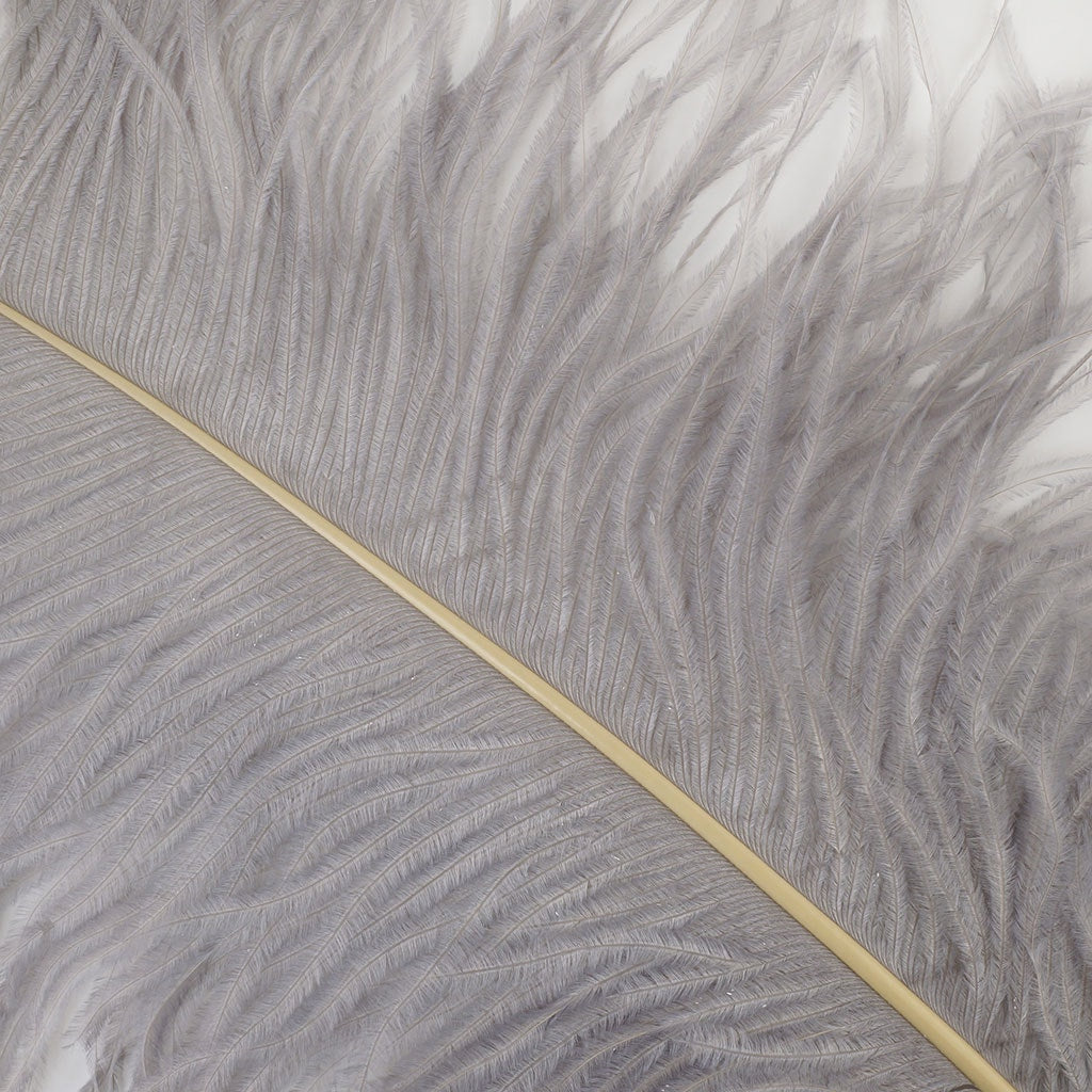 Large Ostrich Feathers - 20-25’’ Prime Femina Plumes - Silver - Ostrich Feathers