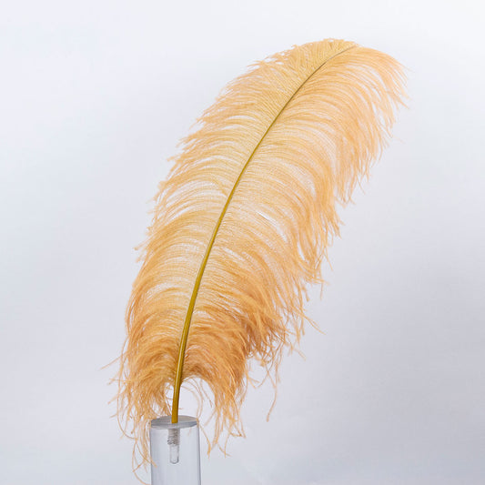 Large Ostrich Feathers - 20-25’’ Prime Femina Plumes - Toasted Almond - Ostrich Feathers