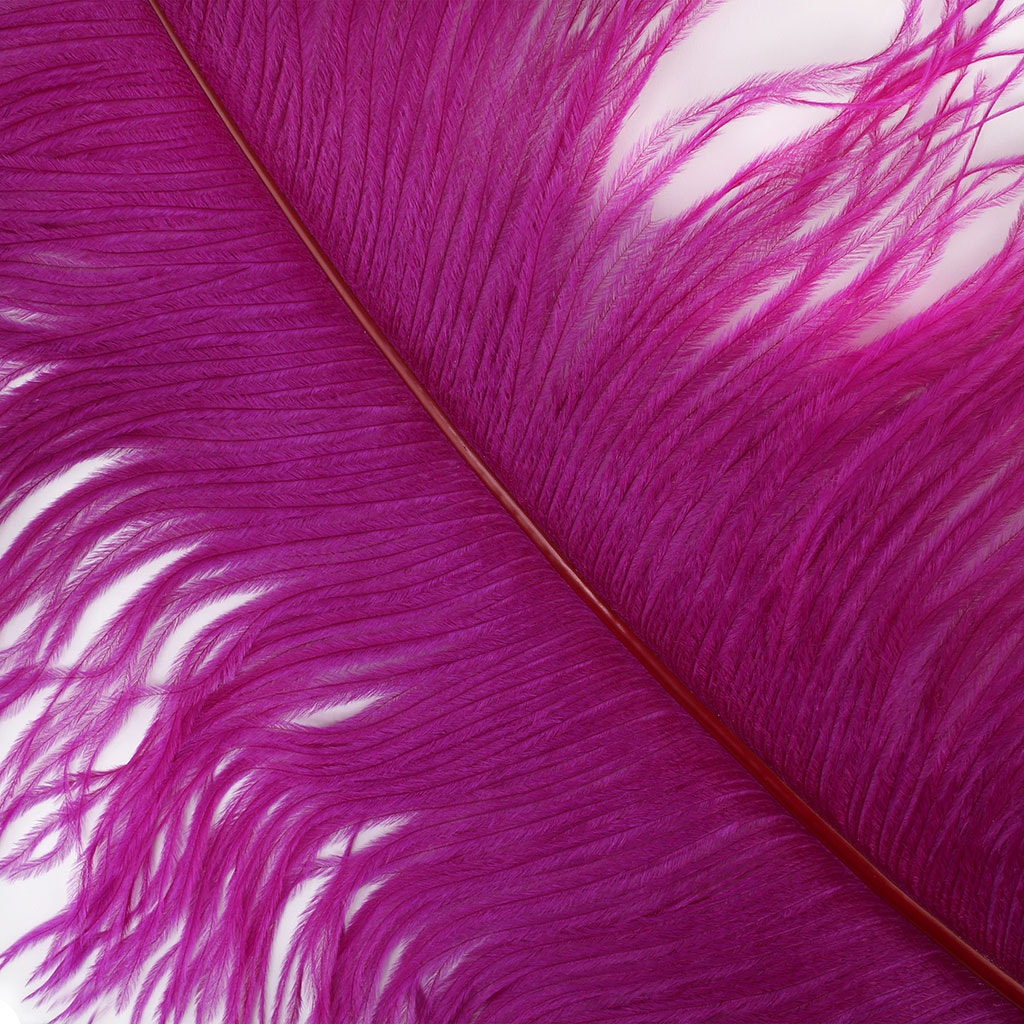 Large Ostrich Feathers - 20-25’’ Prime Femina Plumes - Very Berry - Ostrich Feathers