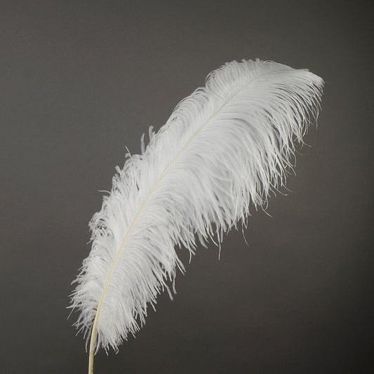 Large Ostrich Feathers - 20-25’’ Prime Femina Plumes - White - 1 piece - Ostrich Feathers