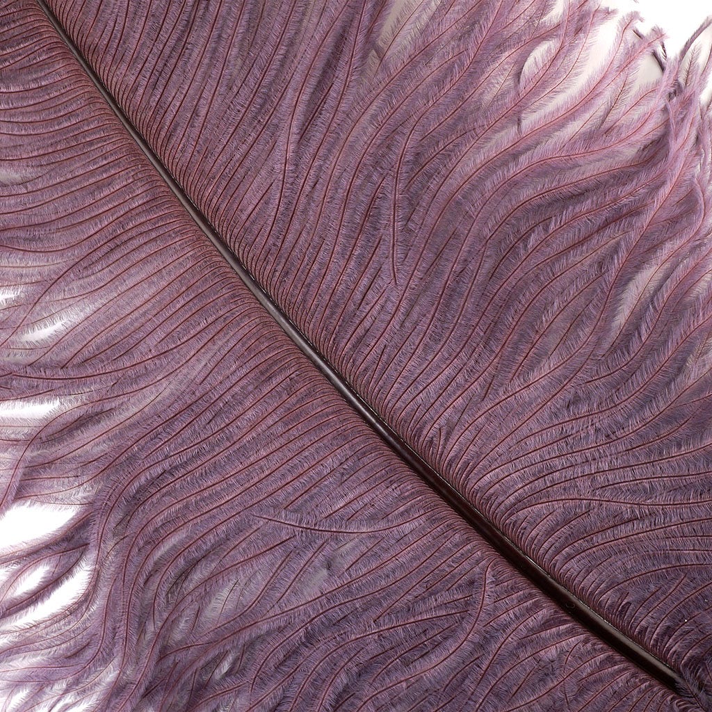 Large Ostrich Feathers - 24-30’’ Prime Femina Plumes - Amethyst - 6 pieces - Ostrich Feathers