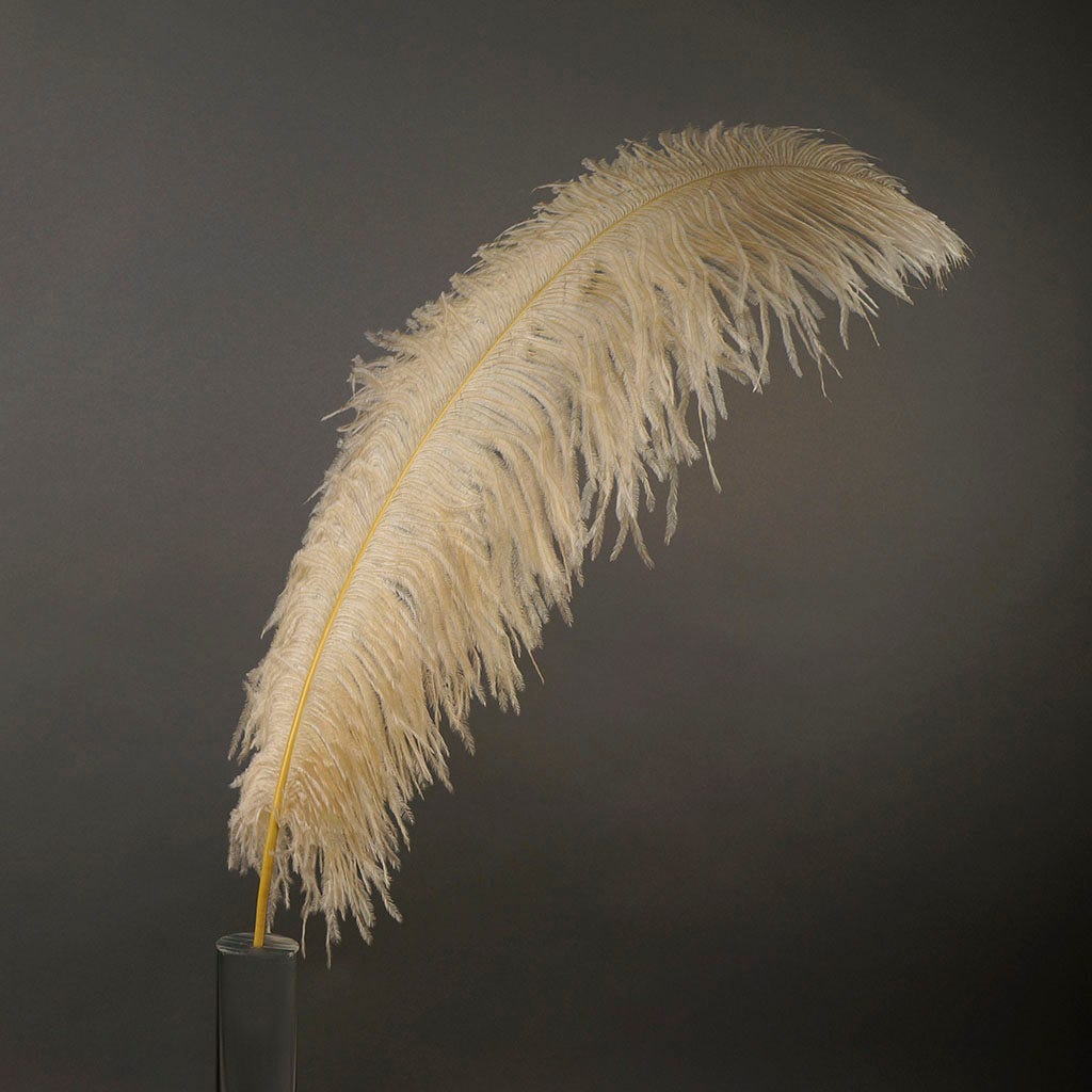 Large Ostrich Feathers - 24-30’’ Prime Femina Plumes - Beige - 1 piece - Ostrich Feathers