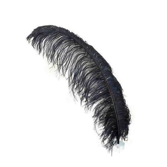 Large Ostrich Feathers - 24-30’’ Prime Femina Plumes - Black - Ostrich Feathers