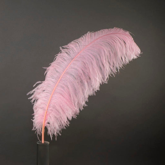 Large Ostrich Feathers - 24-30’’ Prime Femina Plumes - Candy Pink - Ostrich Feathers