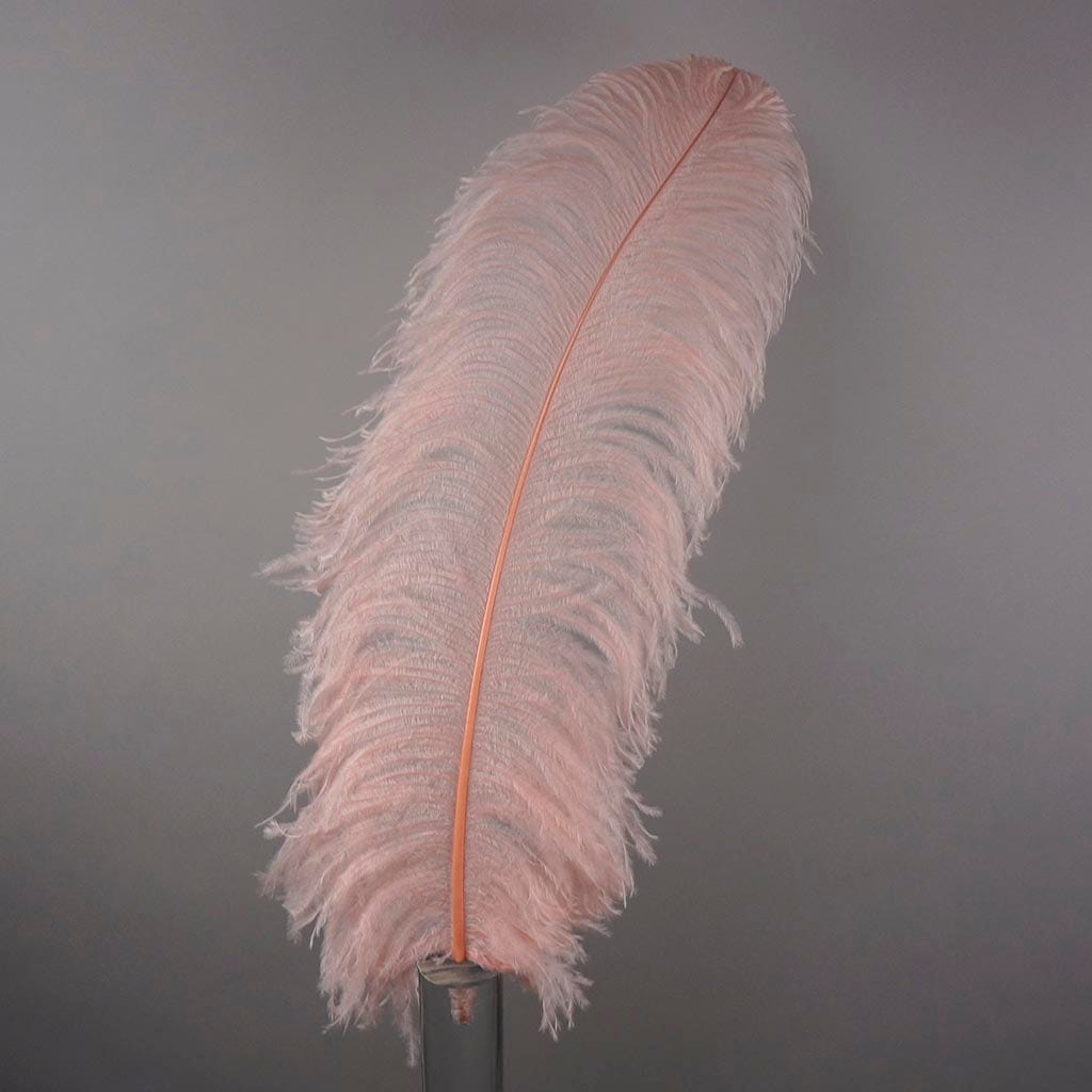 Large Ostrich Feathers - 24-30’’ Prime Femina Plumes - Champagne - 1 piece - Ostrich Feathers