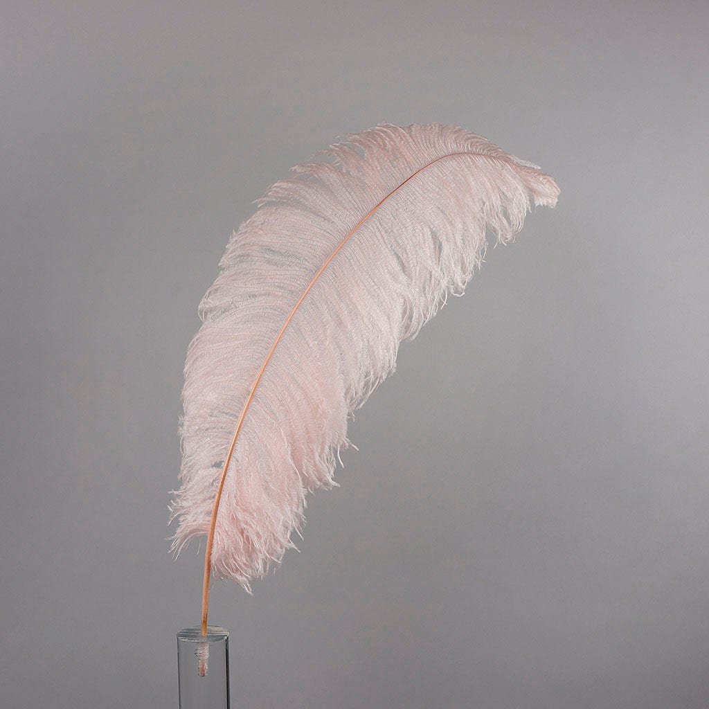 Large Ostrich Feathers - 24-30’’ Prime Femina Plumes - Champagne - Ostrich Feathers