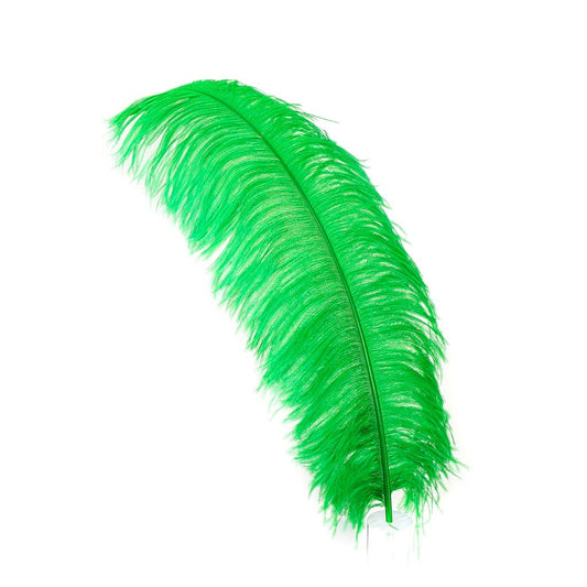 Large Ostrich Feathers - 24-30’’ Prime Femina Plumes - Kelly - Ostrich Feathers