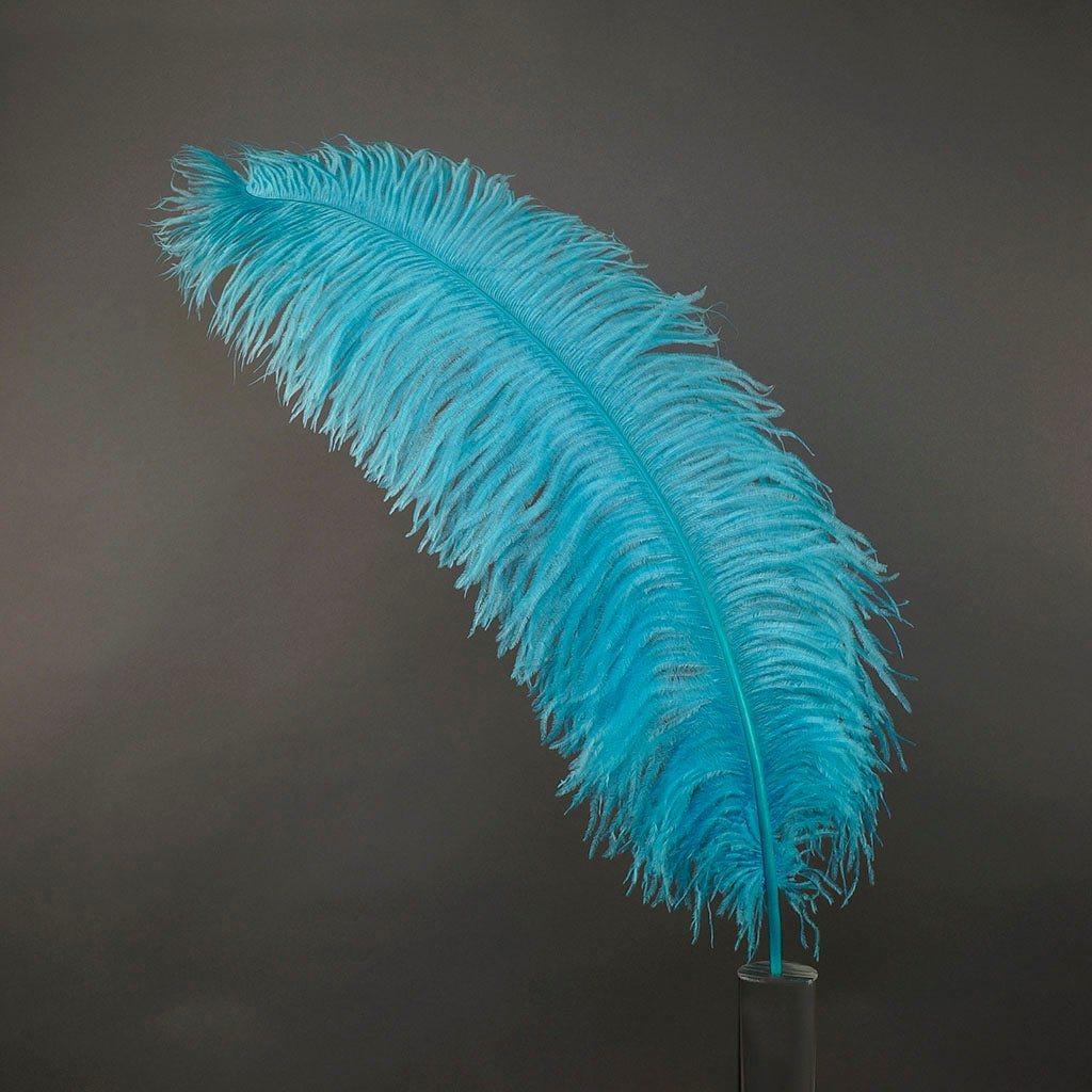 Large Ostrich Feathers - 24-30’’ Prime Femina Plumes - Light Turquoise - 1 piece - Ostrich Feathers