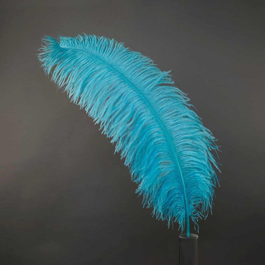 Large Ostrich Feathers - 24-30’’ Prime Femina Plumes - Light Turquoise - Ostrich Feathers