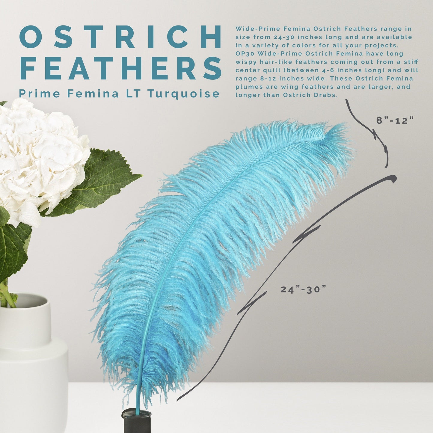 Large Ostrich Feathers - 24-30’’ Prime Femina Plumes - Light Turquoise - Ostrich Feathers