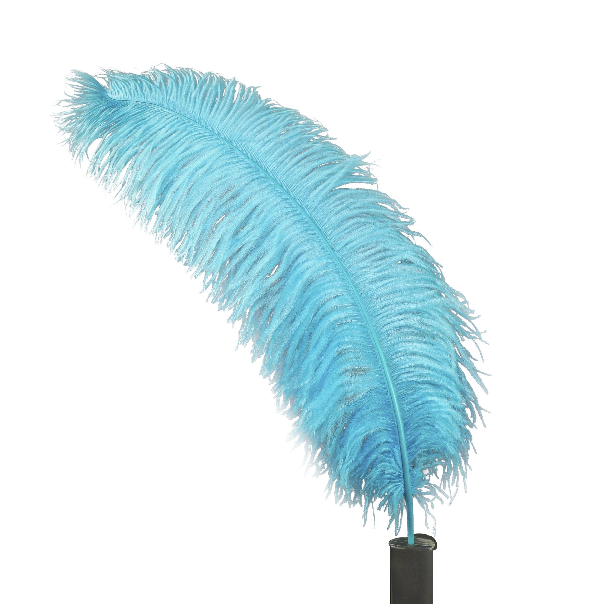 Large Ostrich Feathers - 24-30’’ Prime Femina Plumes - Light Turquoise - Ostrich Feathers