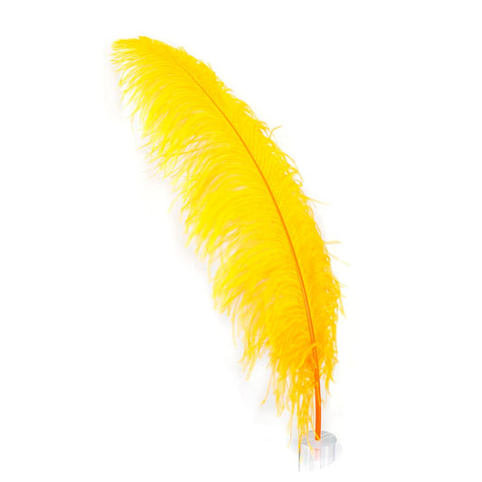 Large Ostrich Feathers - 24-30’’ Prime Femina Plumes - Mango - Ostrich Feathers