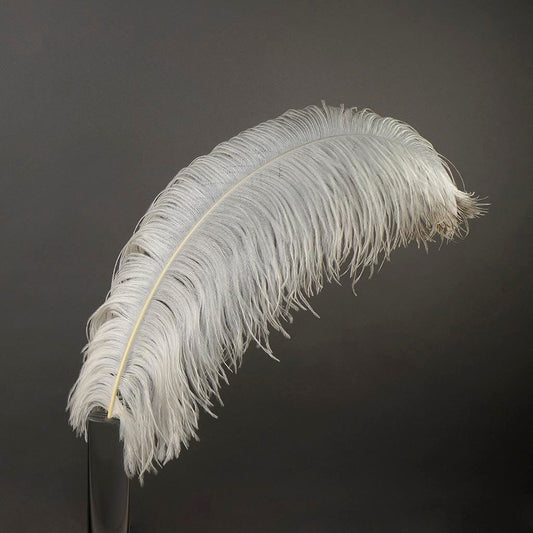 Large Ostrich Feathers - 24-30’’ Prime Femina Plumes - Natural - Ostrich Feathers