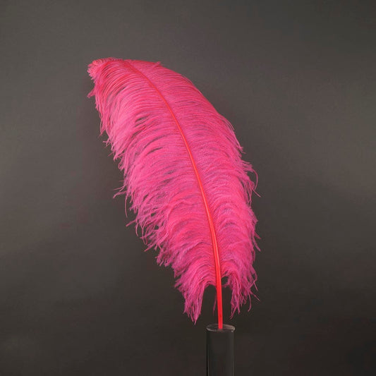 Large Ostrich Feathers - 24-30’’ Prime Femina Plumes - Pink Orient - Ostrich Feathers