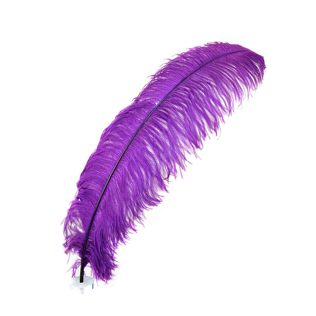 Large Ostrich Feathers - 24-30’’ Prime Femina Plumes - Purple - 1 piece - Ostrich Feathers