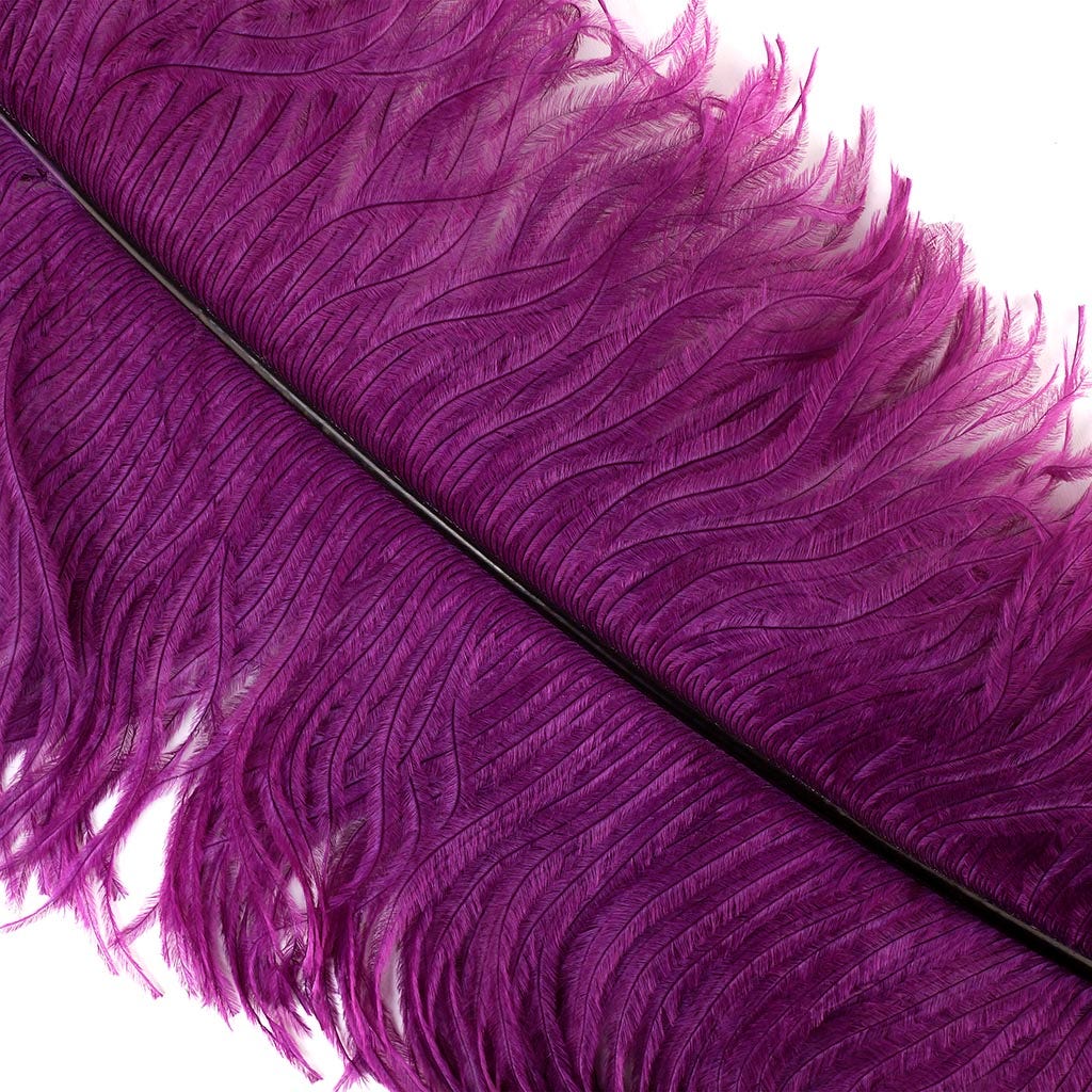 Large Ostrich Feathers - 24-30’’ Prime Femina Plumes - Purple - Ostrich Feathers