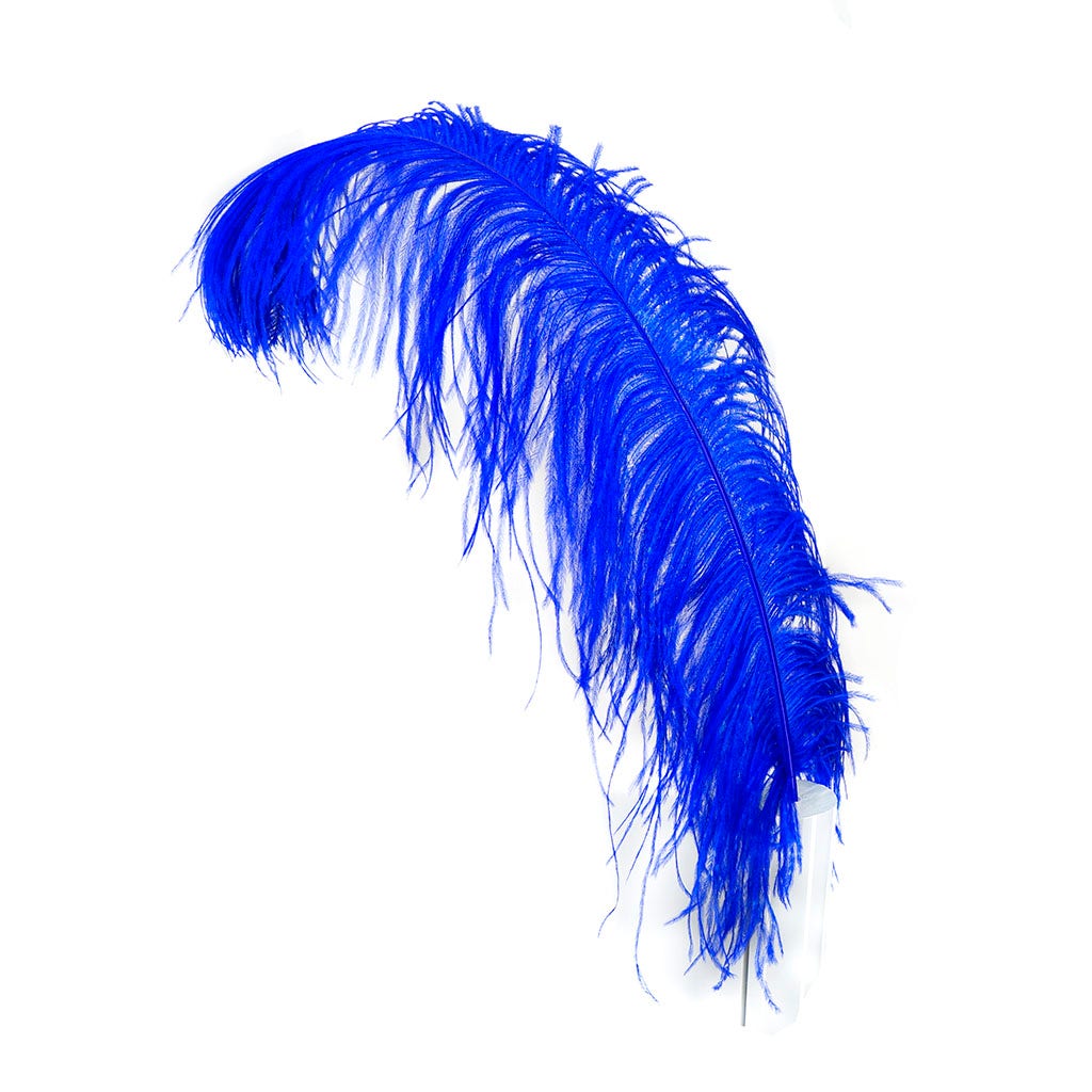 Large Ostrich Feathers - 24-30’’ Prime Femina Plumes - Royal - 1 piece - Ostrich Feathers