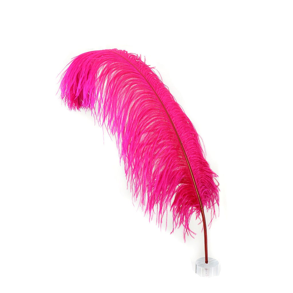 Large Ostrich Feathers - 24-30’’ Prime Femina Plumes - Shocking Pink - 1 piece - Ostrich Feathers