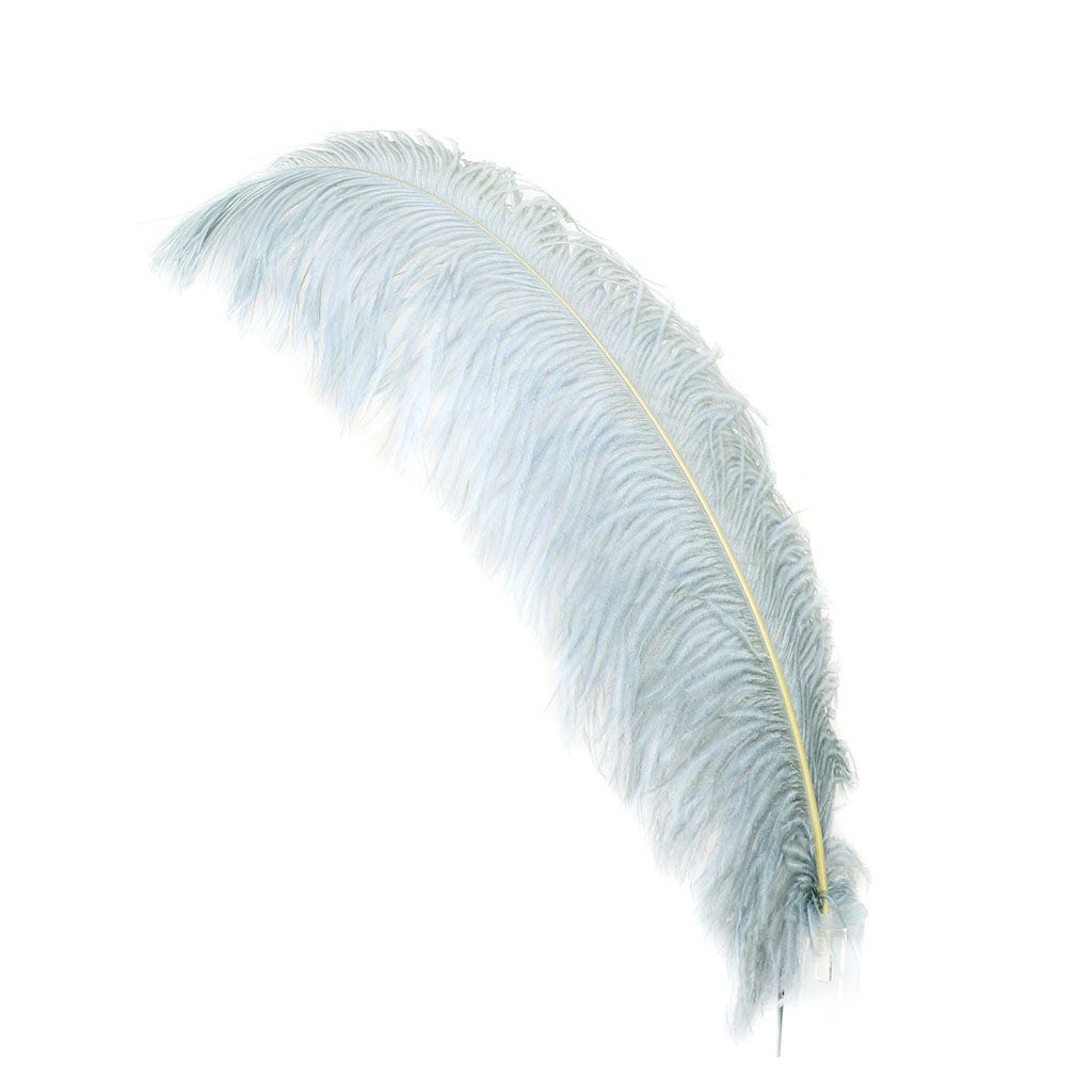 Large Ostrich Feathers - 24-30’’ Prime Femina Plumes - Silver - 1 piece - Ostrich Feathers