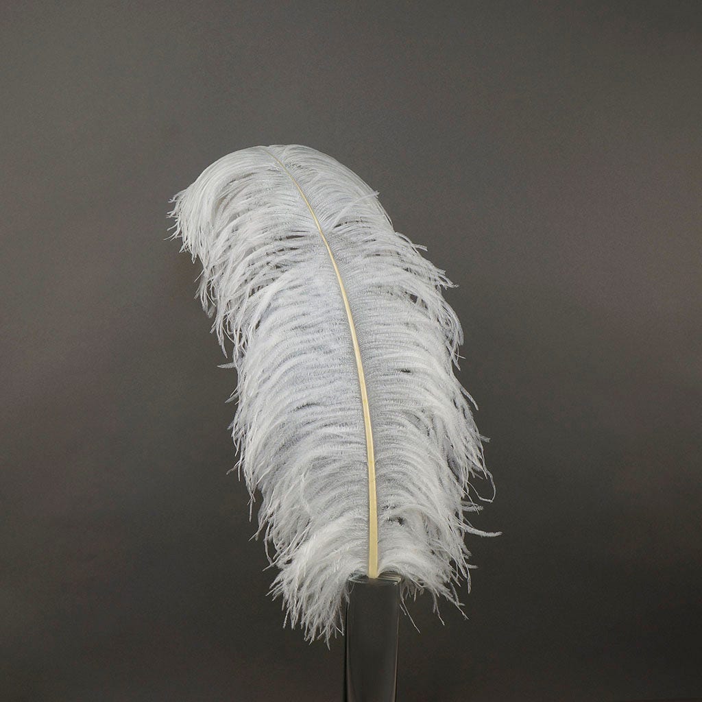 Large Ostrich Feathers - 24-30’’ Prime Femina Plumes - White - 1 piece - Ostrich Feathers