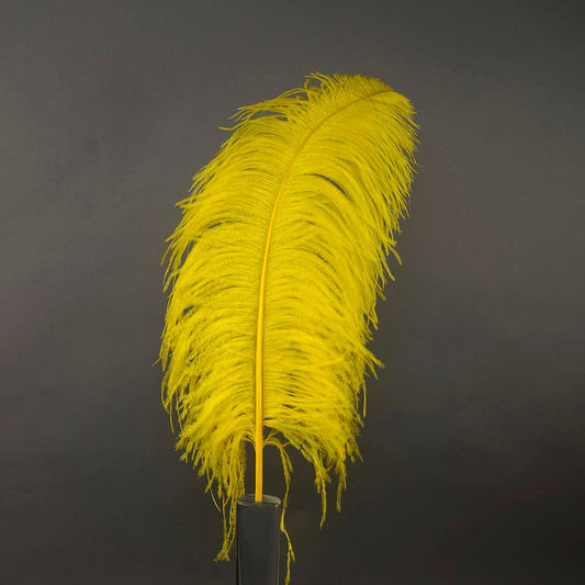 Large Ostrich Feathers - 24-30’’ Prime Femina Plumes - Yellow - Ostrich Feathers