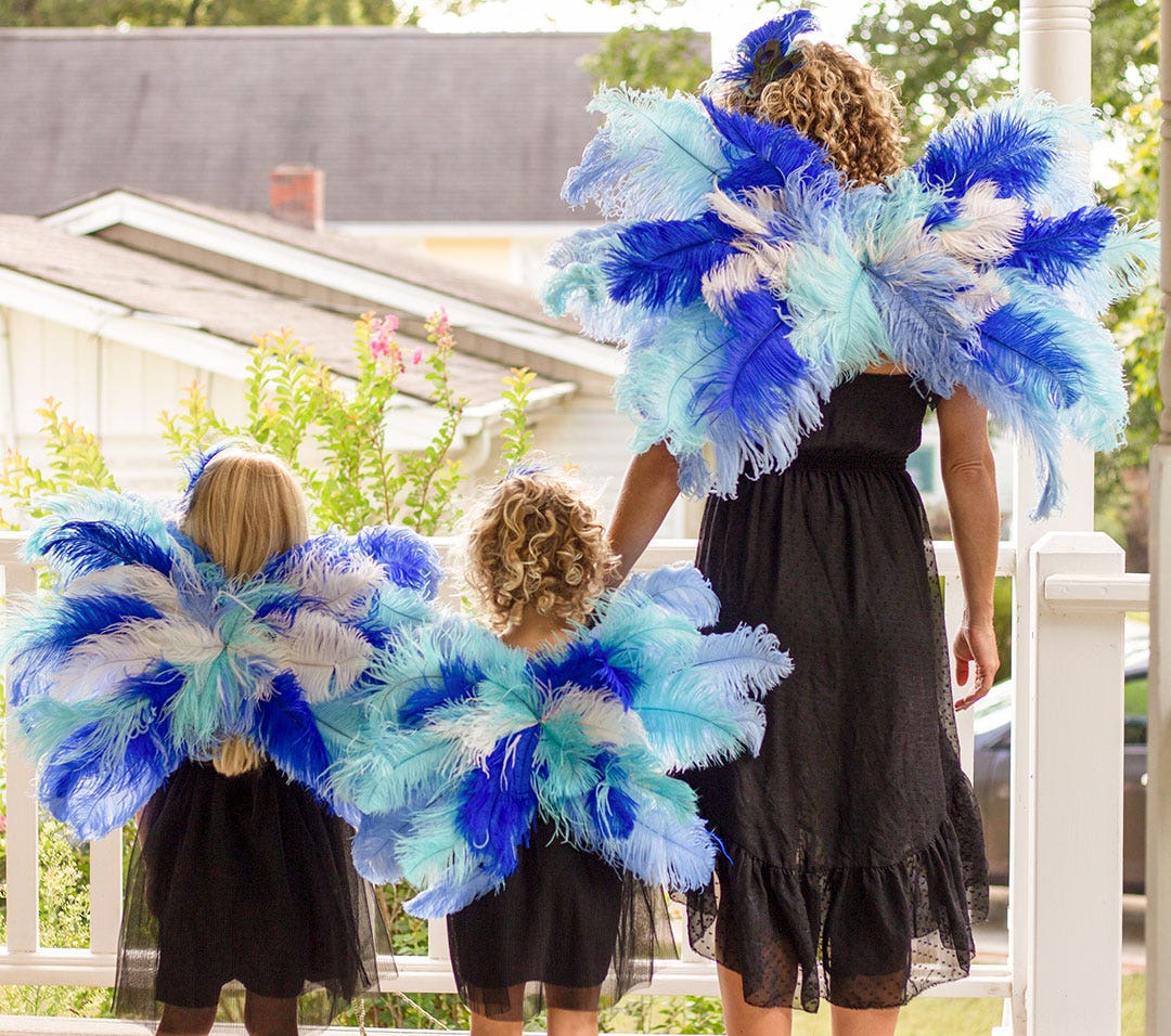 Large Peacock and Ostrich Feather Hair Clip - Feathers