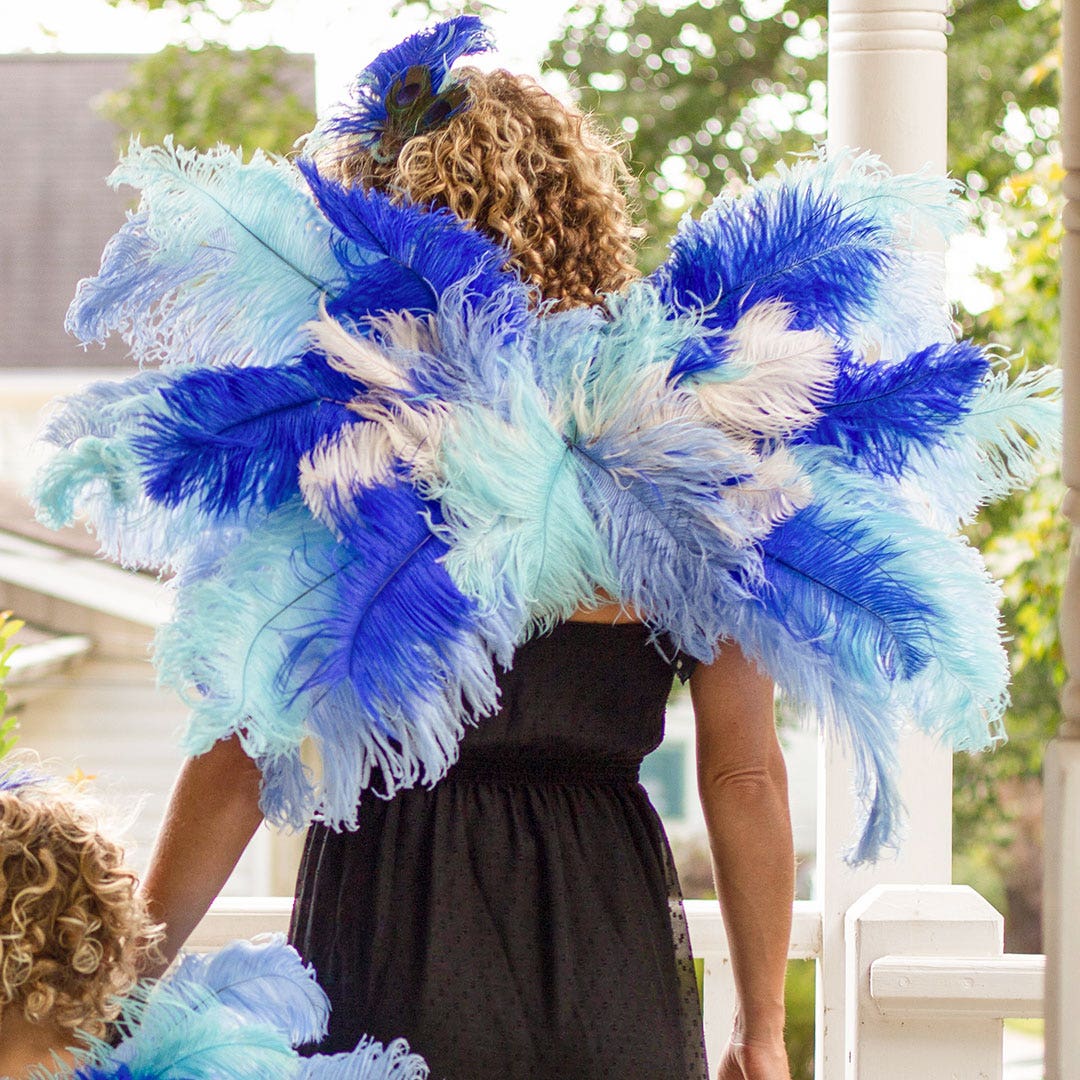 Large Peacock and Ostrich Feather Hair Clip - Feathers