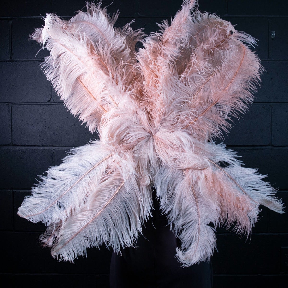 Large Upcycled Ostrich Feather Costume Wings - Champagne - Feathers