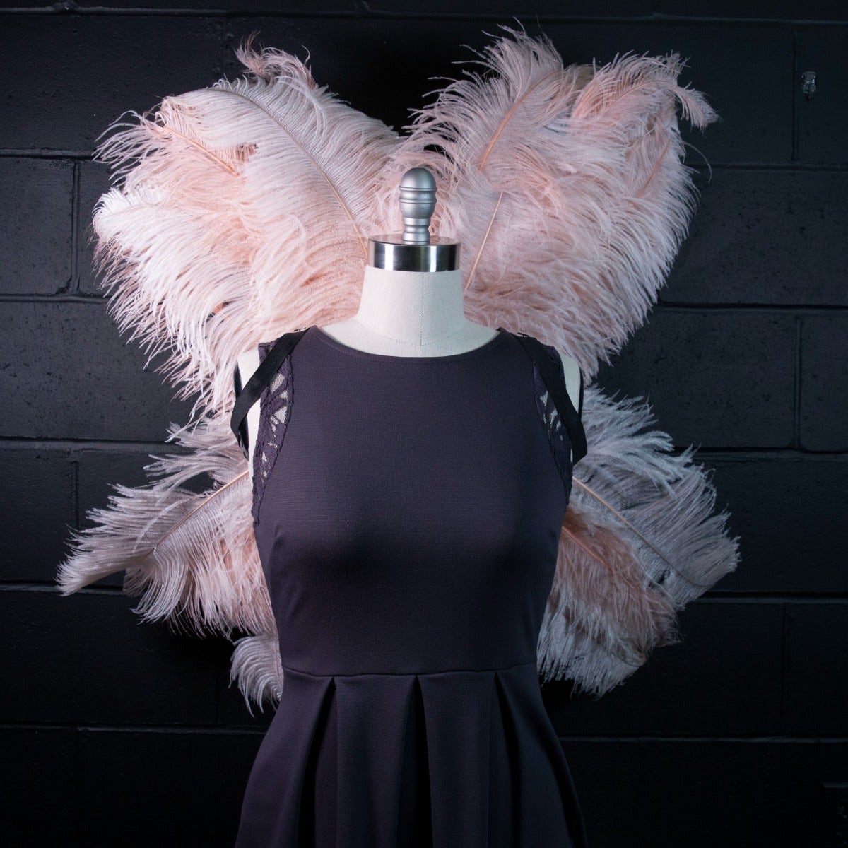 Large Upcycled Ostrich Feather Costume Wings - Champagne - Feathers