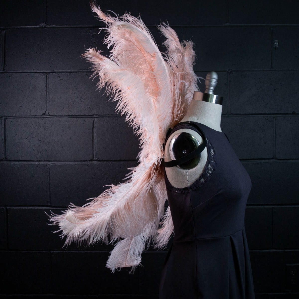 Large Upcycled Ostrich Feather Costume Wings - Champagne - Feathers