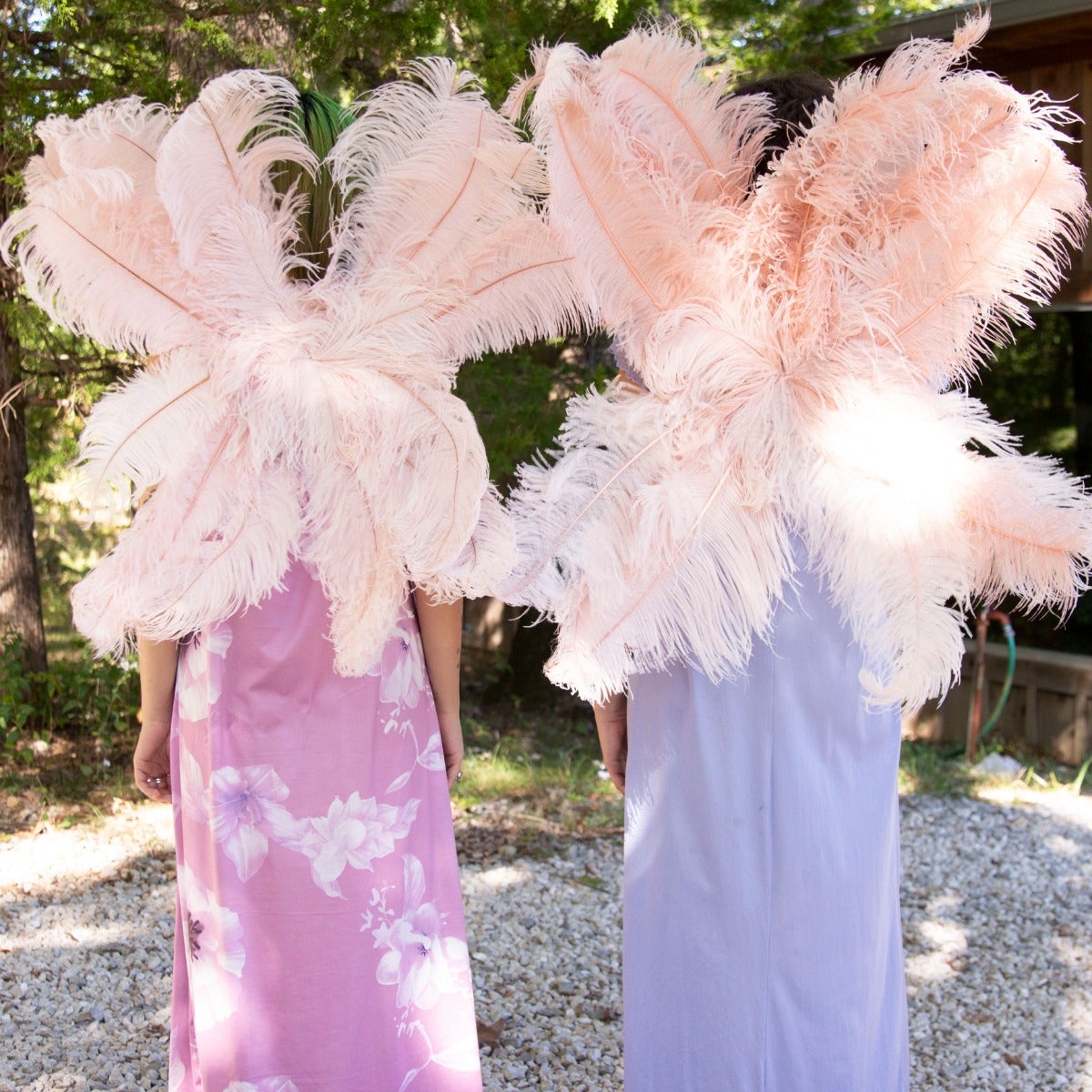 Large Upcycled Ostrich Feather Costume Wings - Champagne - Feathers