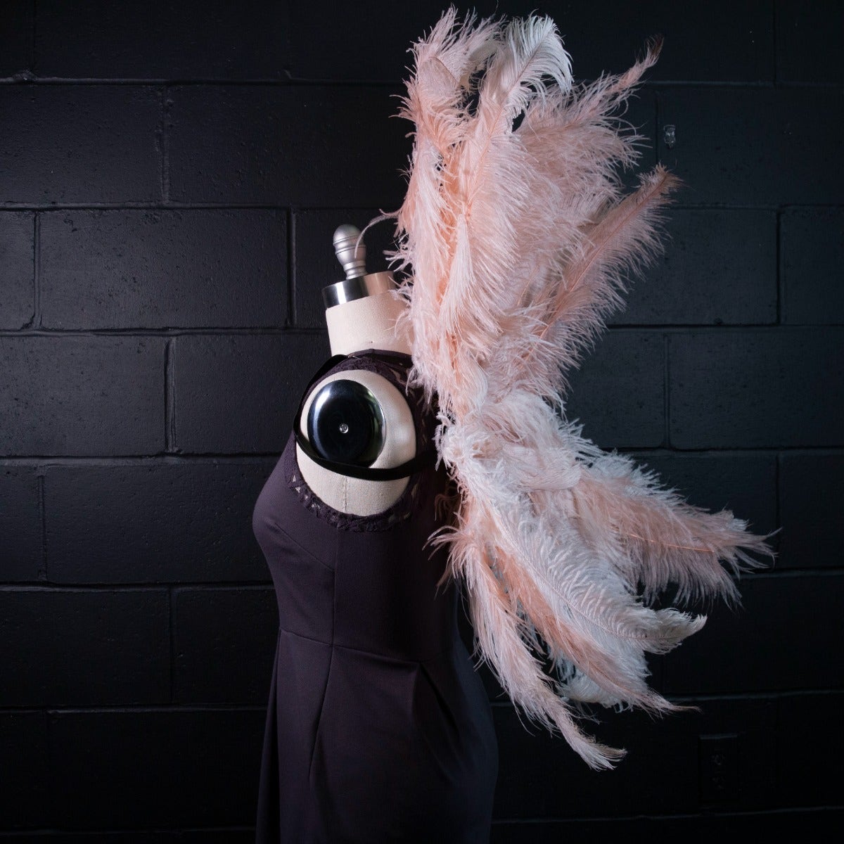 Large Upcycled Ostrich Feather Costume Wings - Champagne - Feathers