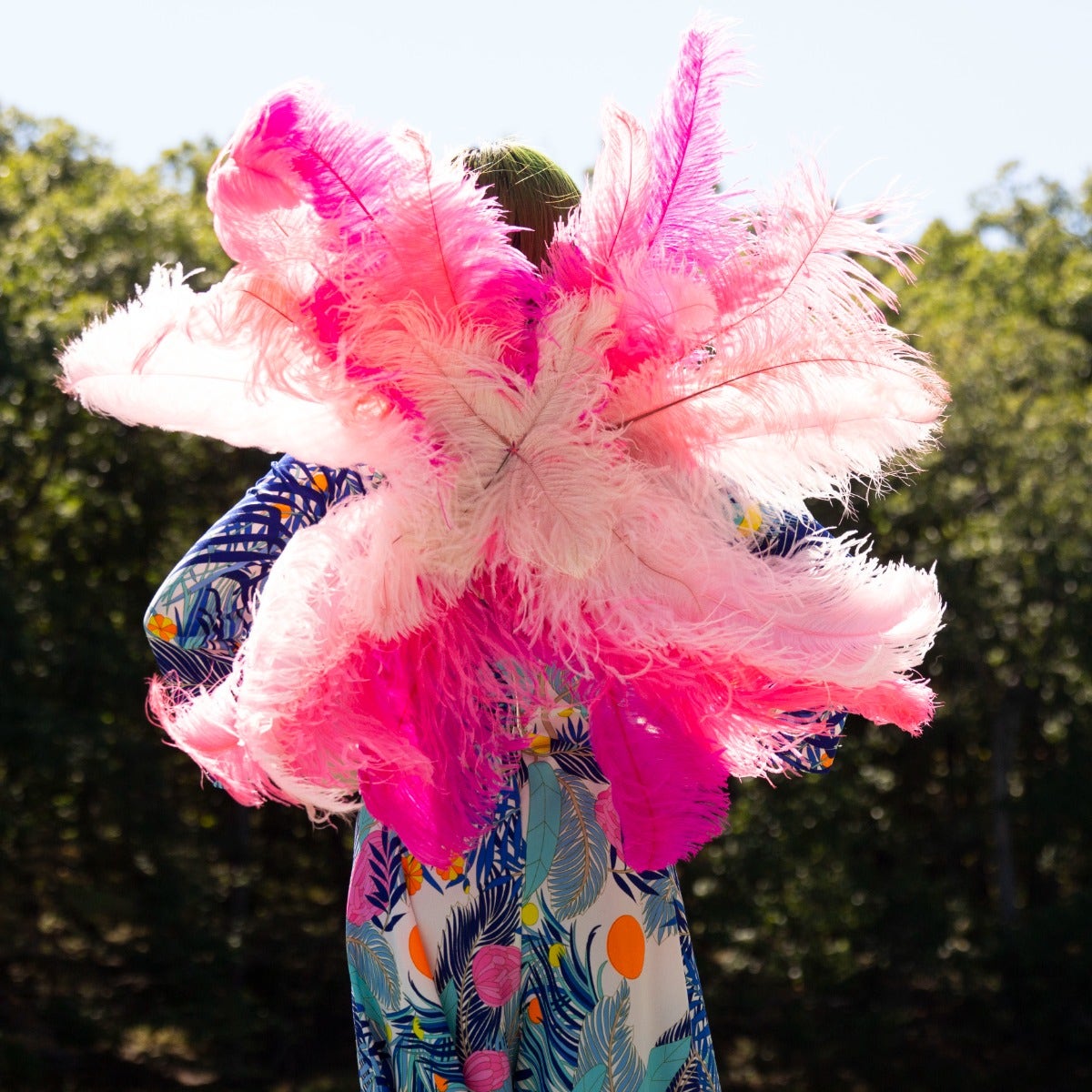 Large Upcycled Ostrich Feather Costume Wings - Flamingo - Feathers