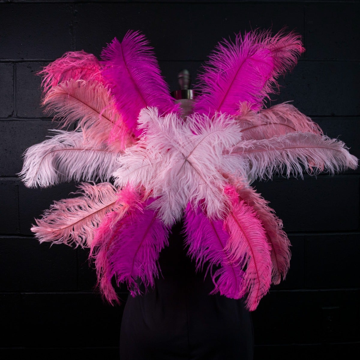 Large Upcycled Ostrich Feather Costume Wings - Flamingo - Feathers