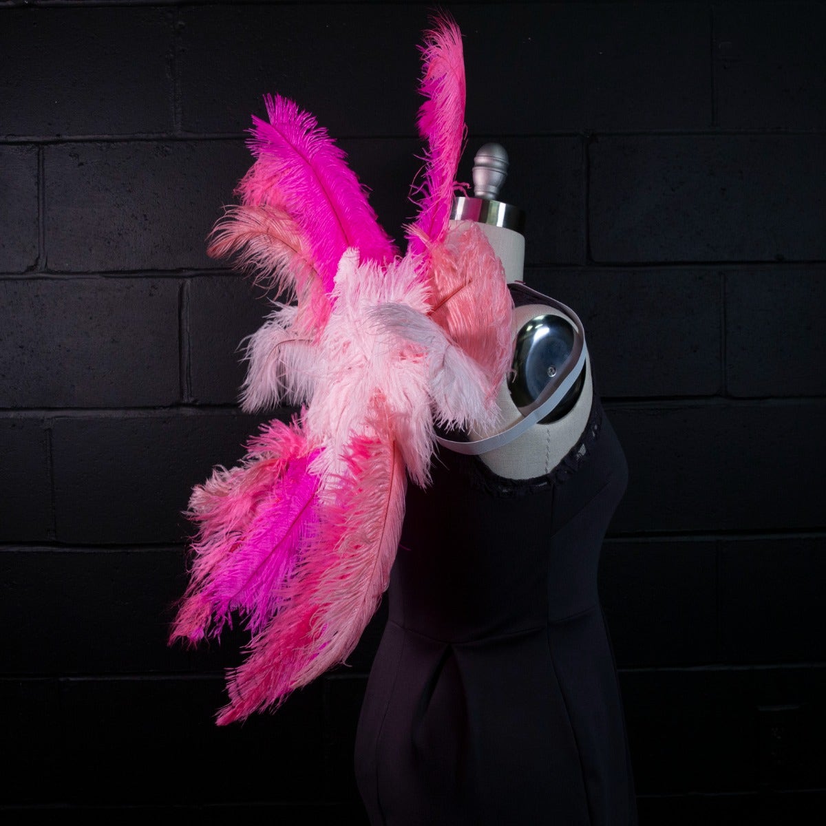 Large Upcycled Ostrich Feather Costume Wings - Flamingo - Feathers