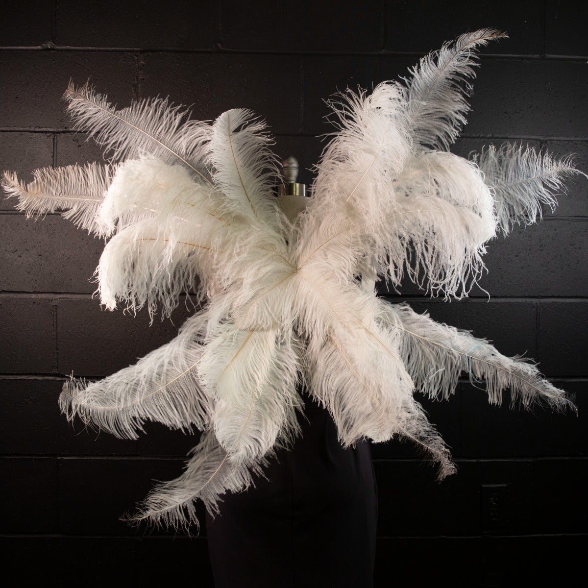 Large Upcycled Ostrich Feather Costume Wings - White - Feathers