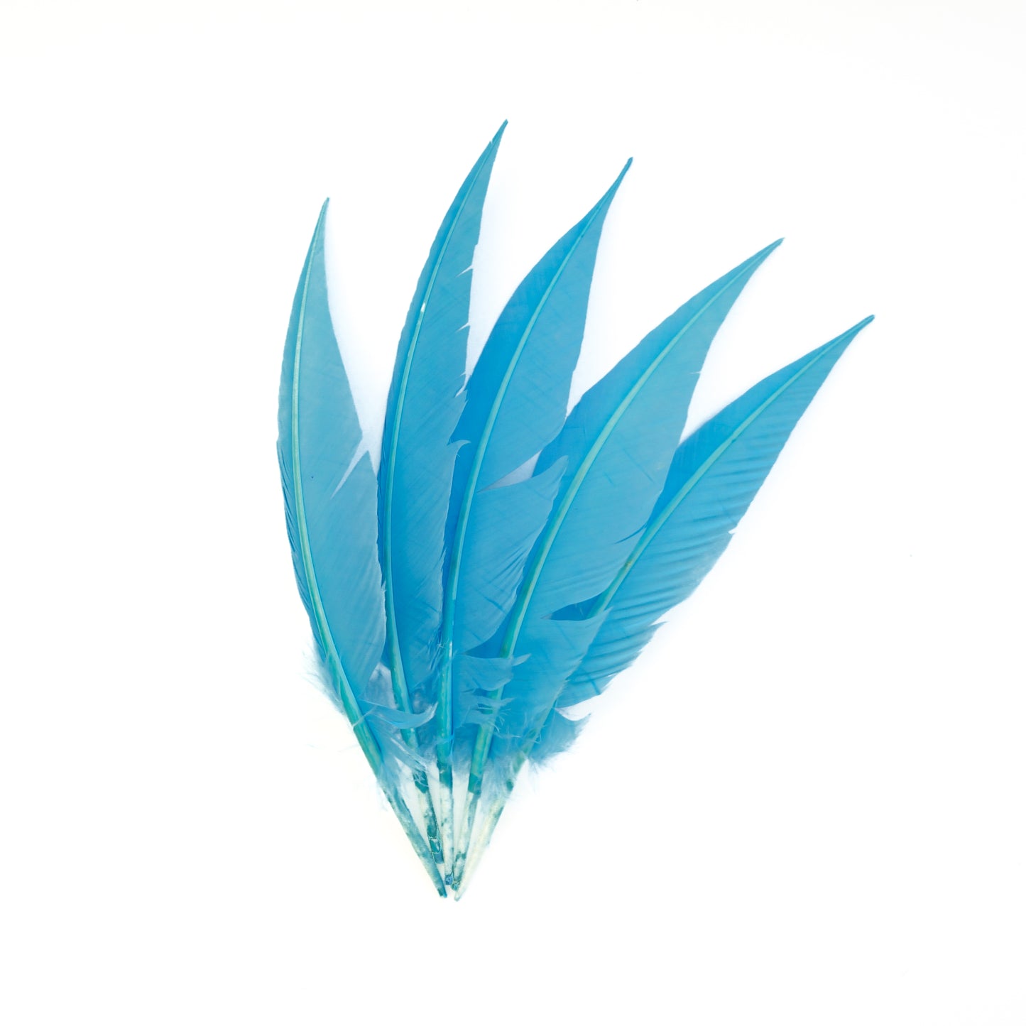Light Turquoise Dagger Turkey Quill Feathers 9-12"