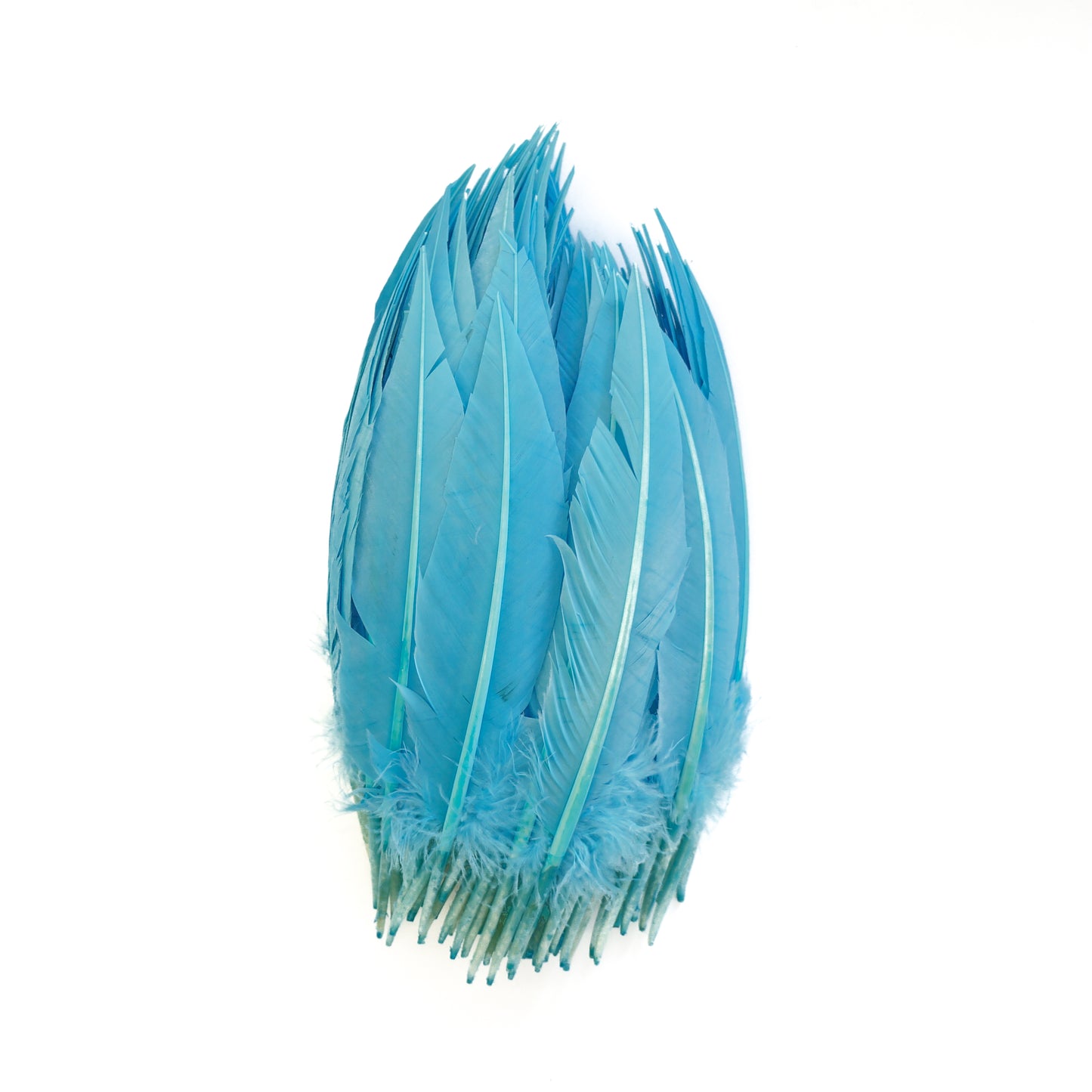 Light Turquoise Dagger Turkey Quill Feathers 9-12"