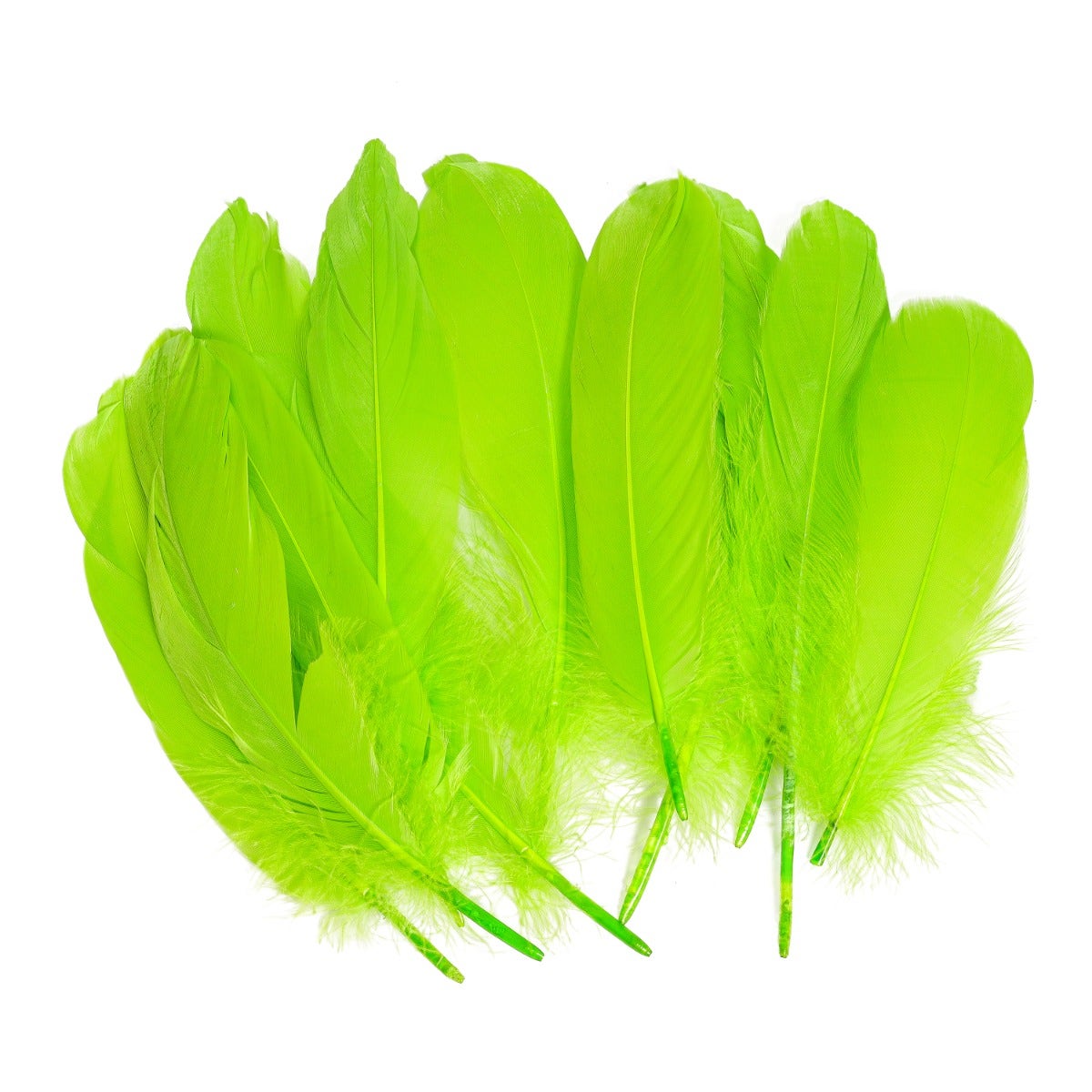 Goose Pallet Feathers 6-8" - 12 pc - Lime