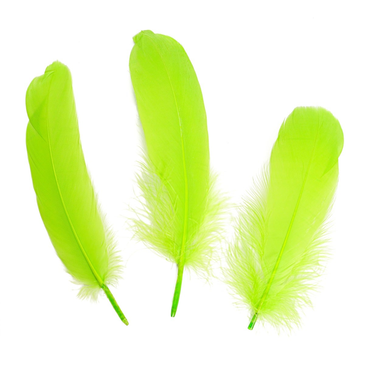 Goose Pallet Feathers 6-8" - 12 pc - Lime