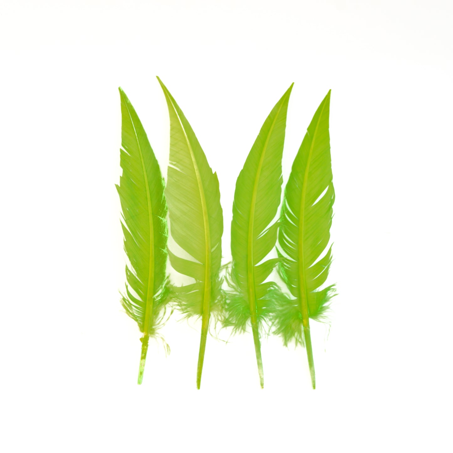 Lime Green Dagger Turkey Quill Feathers 9-12"