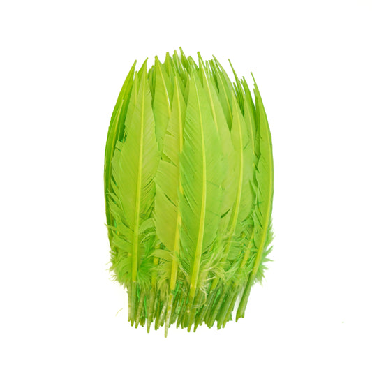 Lime Green Dagger Turkey Quill Feathers 9-12"