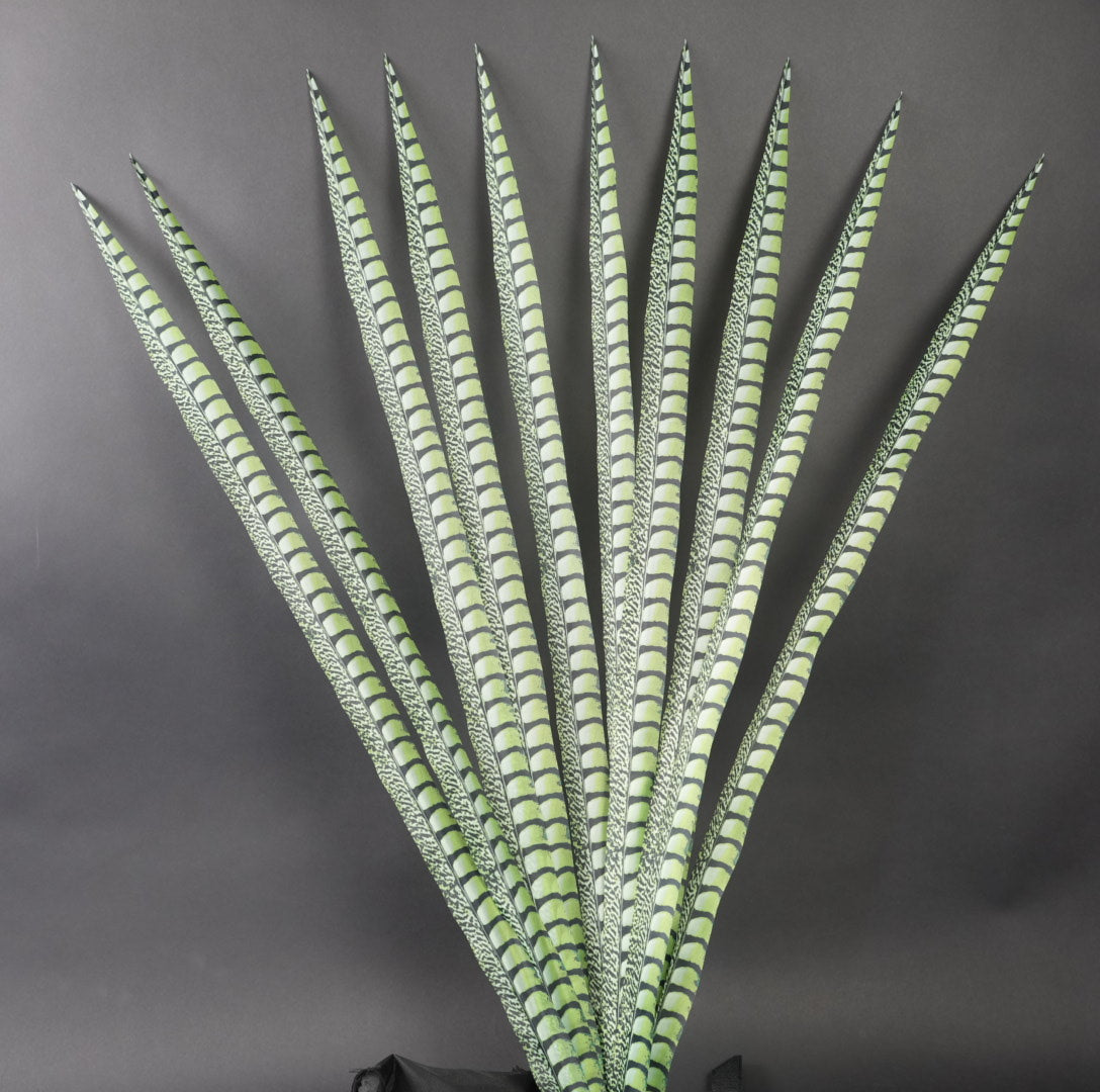 Lime Faux Lady Amherst Feathers 1 pc