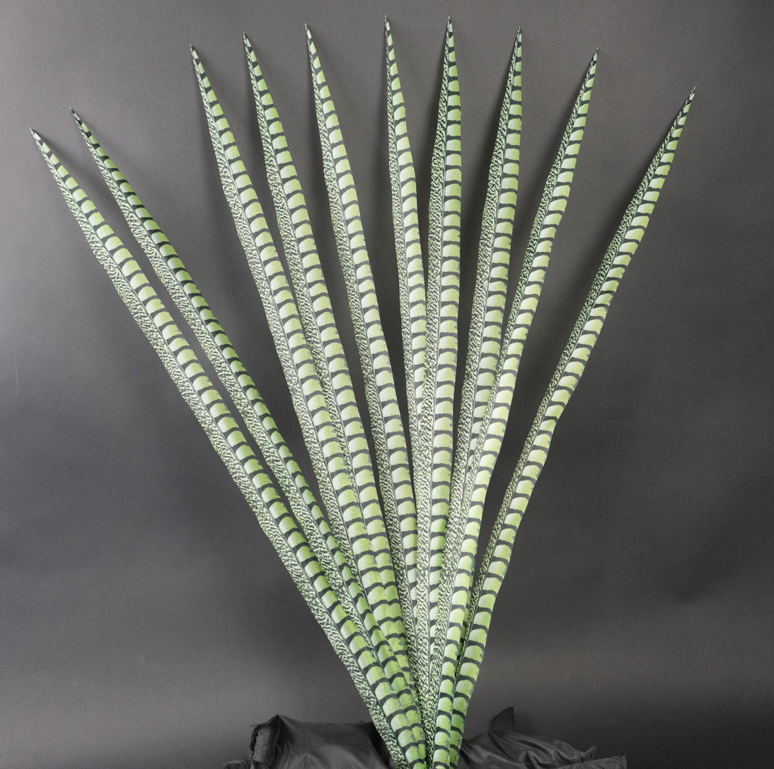 Lime Faux Lady Amherst Feathers 1 pc