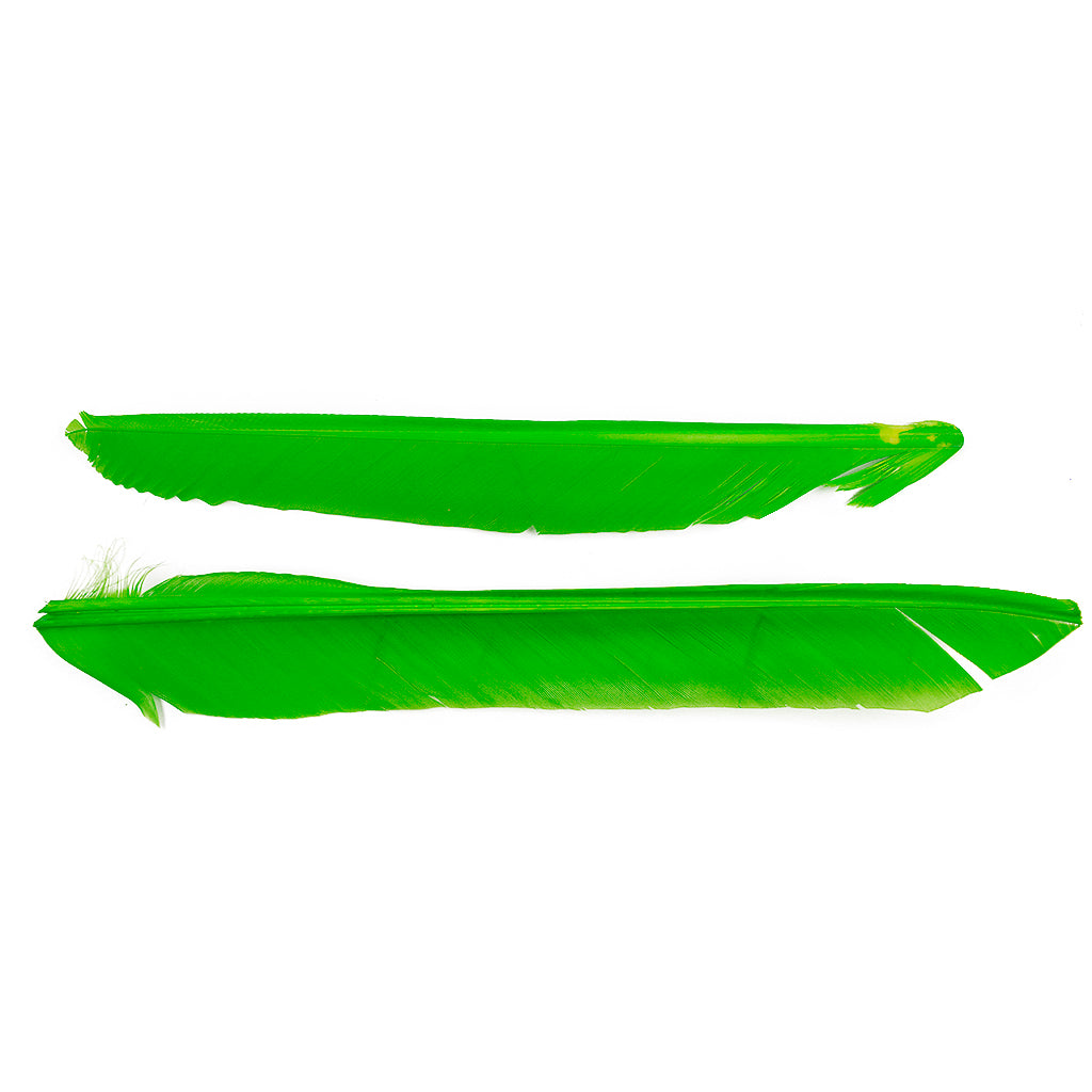 Lime Green Cut Turkey Pointer Feathers 8-12"