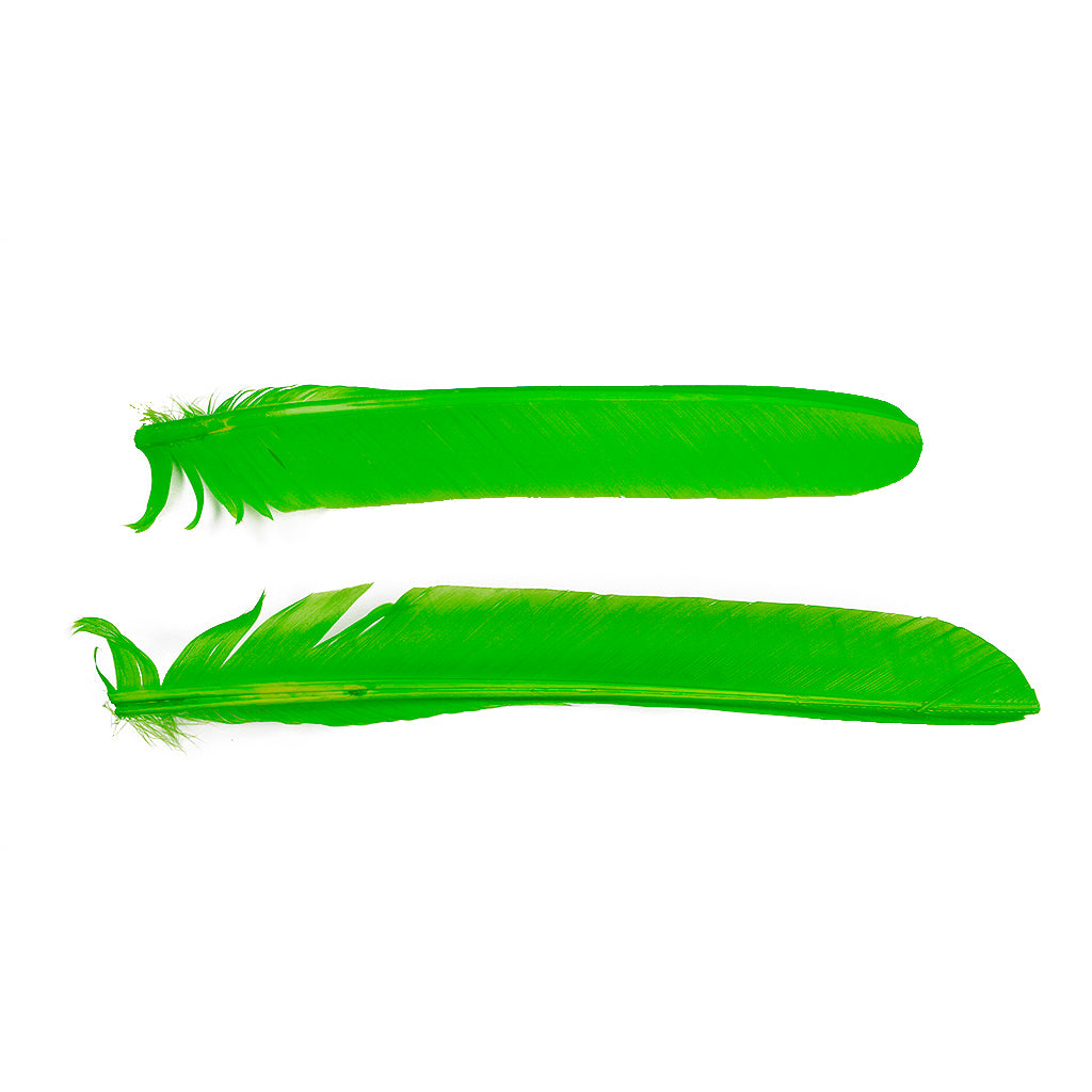 Lime Green Cut Turkey Pointer Feathers 8-12"