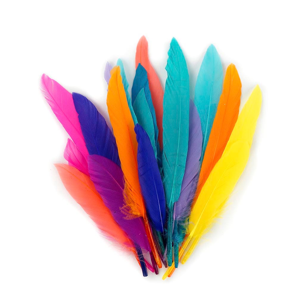 Loose Duck Cosse Mix Dyed CONFETTI - Feathers