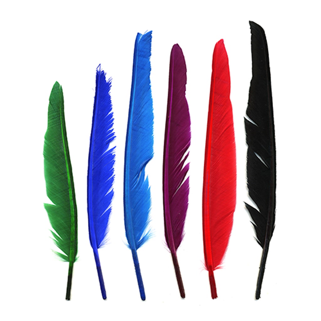 Loose Duck Pointers Mix Dyed - Rainbow Mix - Feathers